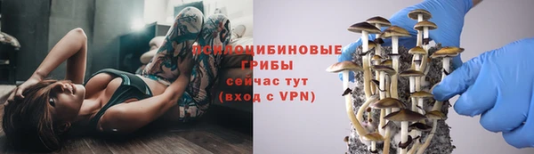 спайс Пересвет