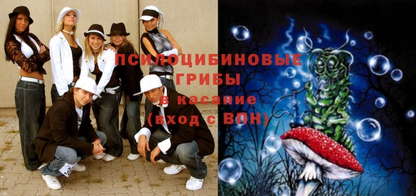 прущие крисы Туринск