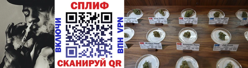 KRAKEN как войти  Шилка  МАРИХУАНА LSD WEED  закладка 